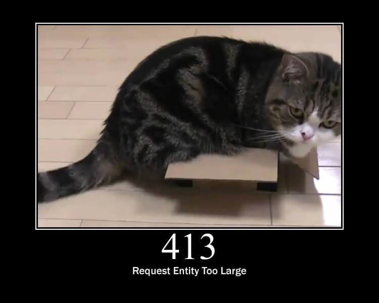 HTTP cat too large