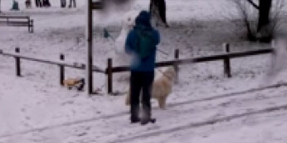 Neighbor taking a photo of the snowman