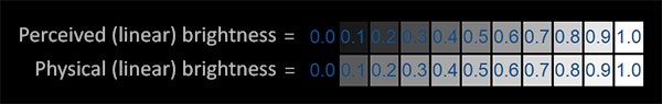 Graphic depicting perceived linear brightness vs. physical linear brightness