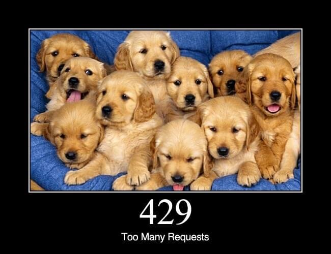 429: too many requests 