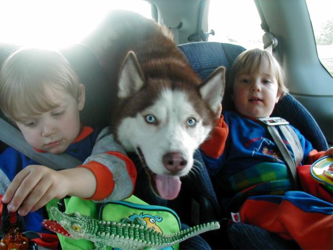 Kids in the backseat of a car