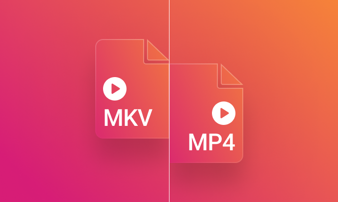 MKV vs. MP4