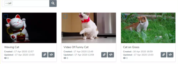 Cat video tag