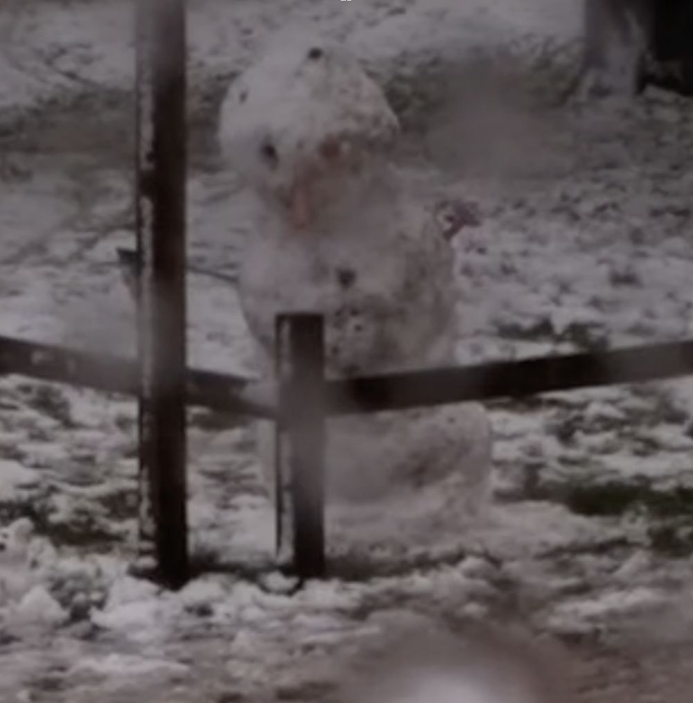 Mr. Snowman in his final moments