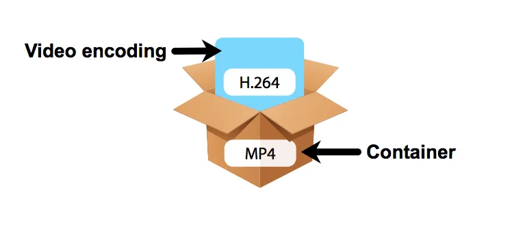 Every video format, codec, and container explained